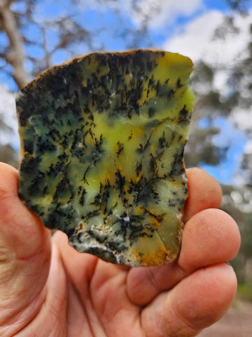 Polished Dendritic Opal slab DO203