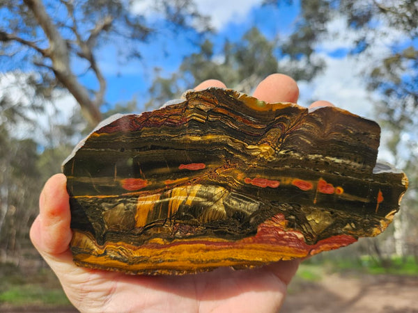 Polished Tiger Eye slab TE413