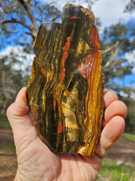 Polished Tiger Eye slab TE413