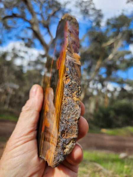 Polished Tiger Eye slab TE413