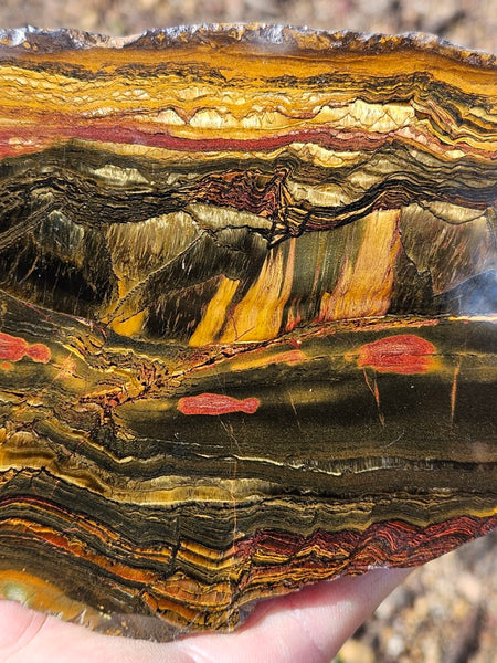 Polished Tiger Eye slab TE413