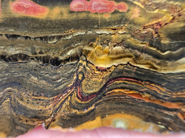 Polished Tiger Eye slab TE413