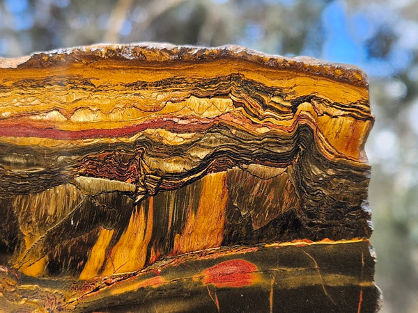 Polished Tiger Eye slab TE413