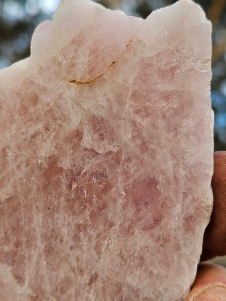 Polished Pink Beryl slab BY142