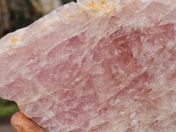 Polished Pink Beryl slab BY143