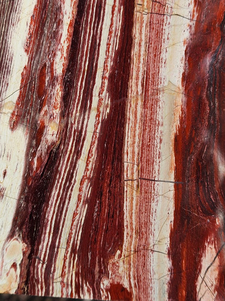 Polished Snakeskin Jasper SS187