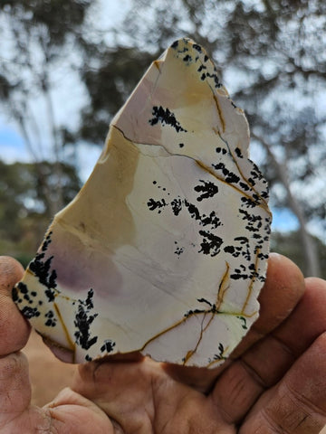 Polished Dendritic Mookaite slab MK505