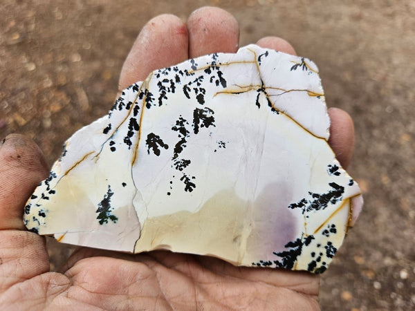 Polished Dendritic Mookaite slab MK505