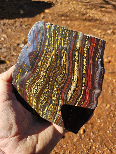 Polished Tiger Iron display specimen TI331