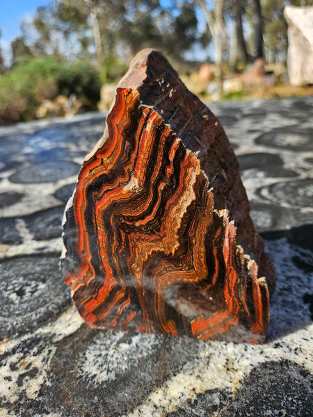 Polished Tiger Iron display specimen TI332