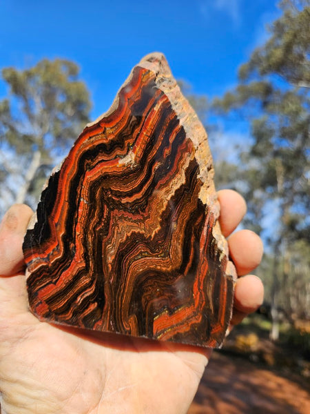 Polished Tiger Iron display specimen TI332