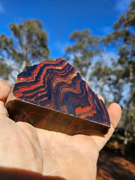 Polished Tiger Iron display specimen TI332