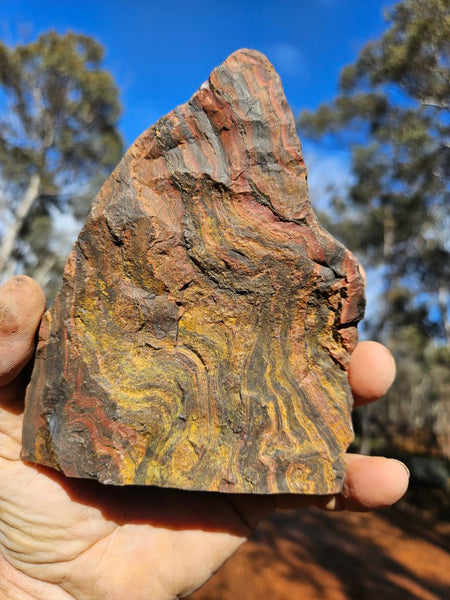 Polished Tiger Iron display specimen TI332