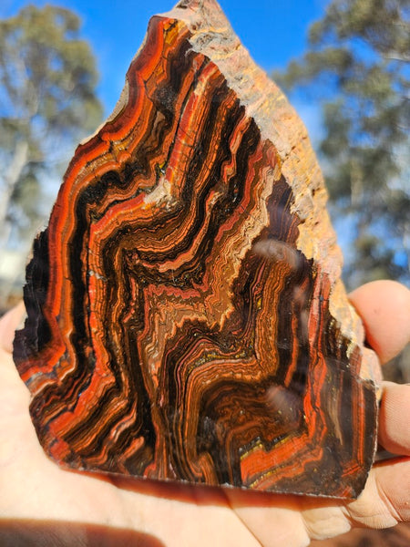 Polished Tiger Iron display specimen TI332