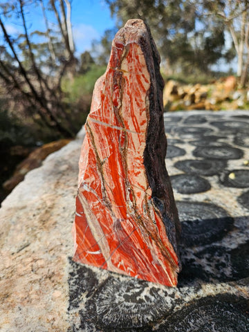 Starry Jasper polished display specimen SJ151