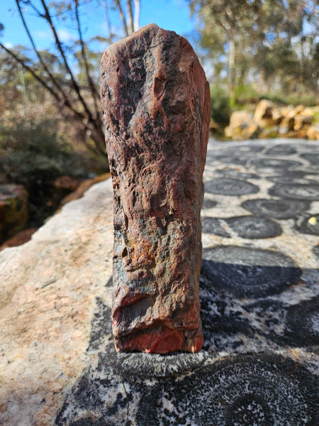 Starry Jasper polished display specimen SJ151