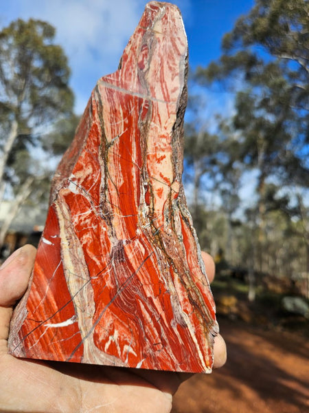 Starry Jasper polished display specimen SJ151