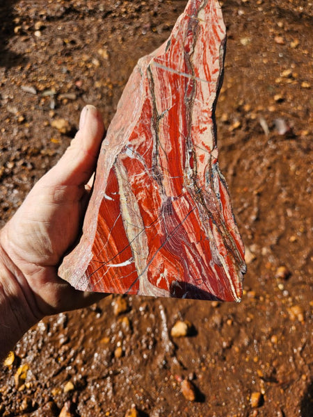 Starry Jasper polished display specimen SJ151