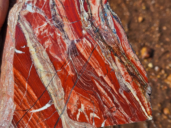 Starry Jasper polished display specimen SJ151