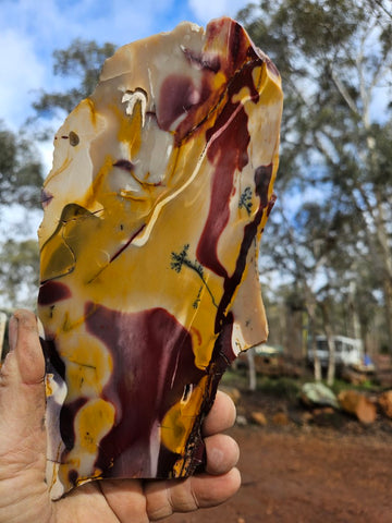 Polished Mookaite slab MK503