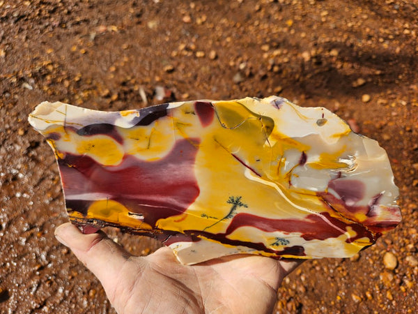 Polished Mookaite slab MK503