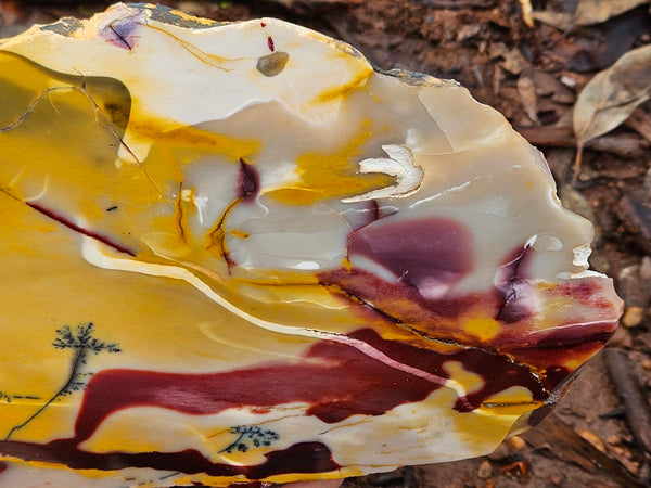 Polished Mookaite slab MK503