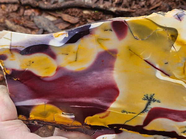 Polished Mookaite slab MK503