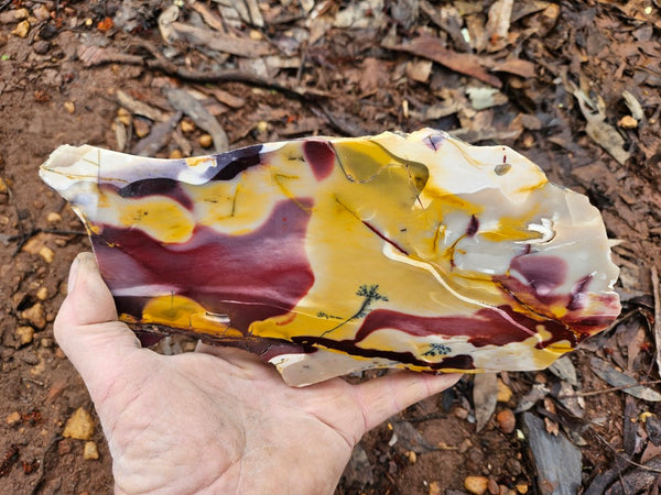 Polished Mookaite slab MK503