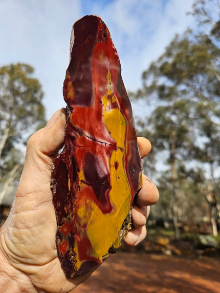 Polished Mookaite slab MK502