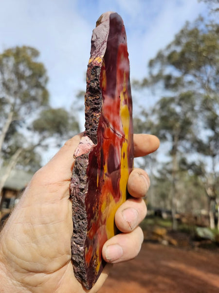 Polished Mookaite slab MK502