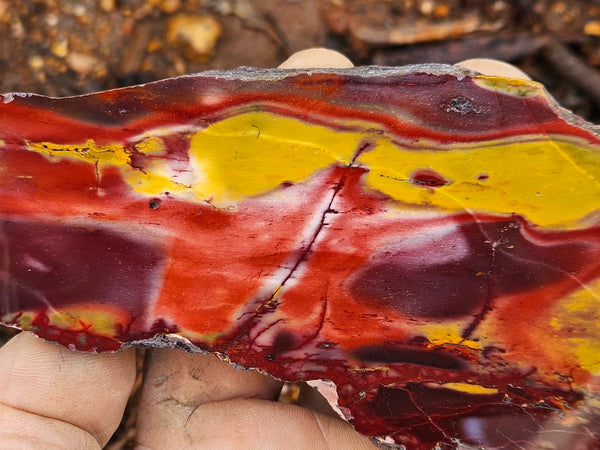 Polished Mookaite slab MK502