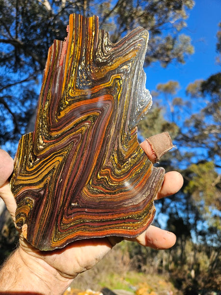 Polished Tiger Iron slab TI333