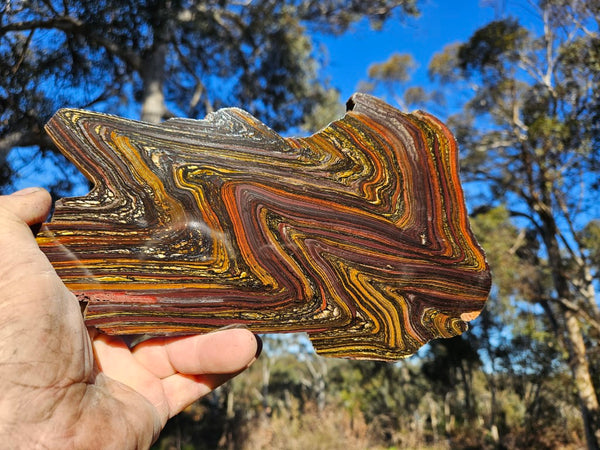 Polished Tiger Iron slab TI333