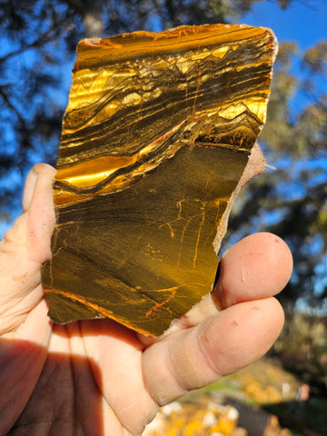 Polished Tiger Eye slab TE414