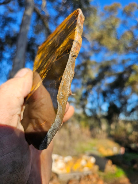 Polished Tiger Eye slab TE414