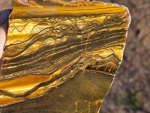 Polished Tiger Eye slab TE414