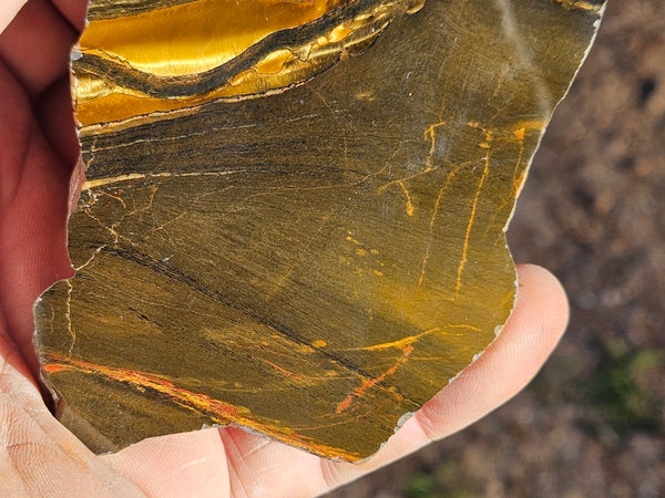 Polished Tiger Eye slab TE414