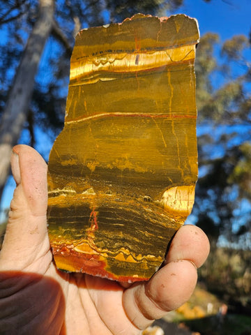 Polished Tiger Eye slab TE415