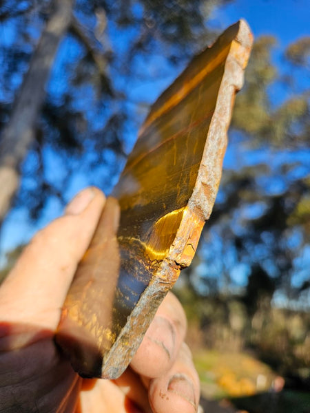 Polished Tiger Eye slab TE415