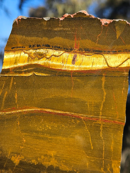 Polished Tiger Eye slab TE415