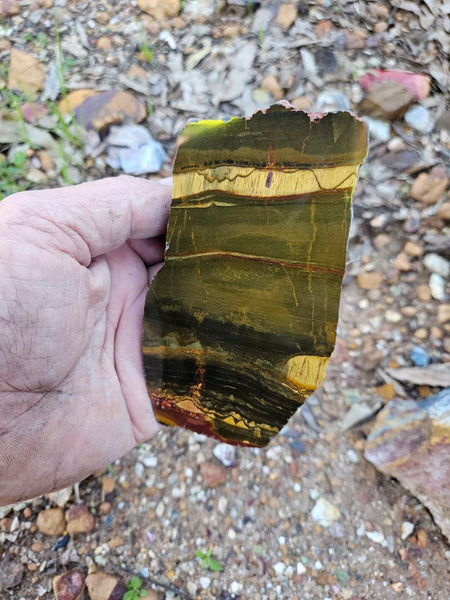 Polished Tiger Eye slab TE415