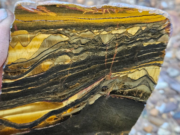 Polished Tiger Eye slab TE414