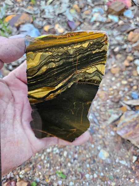 Polished Tiger Eye slab TE414