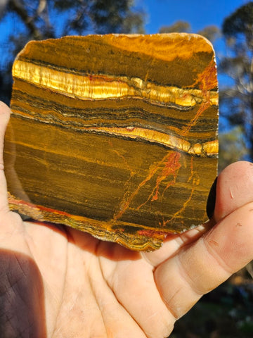 Polished Tiger Eye slab TE416