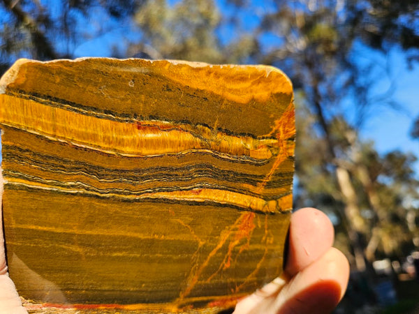 Polished Tiger Eye slab TE416