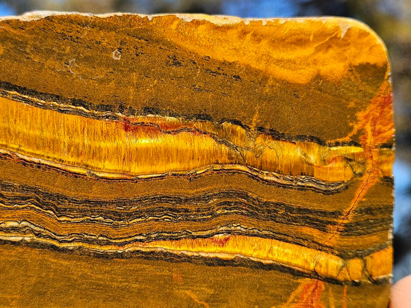 Polished Tiger Eye slab TE416