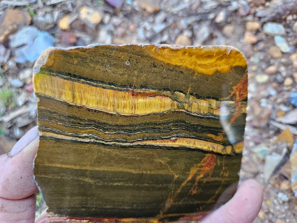 Polished Tiger Eye slab TE416