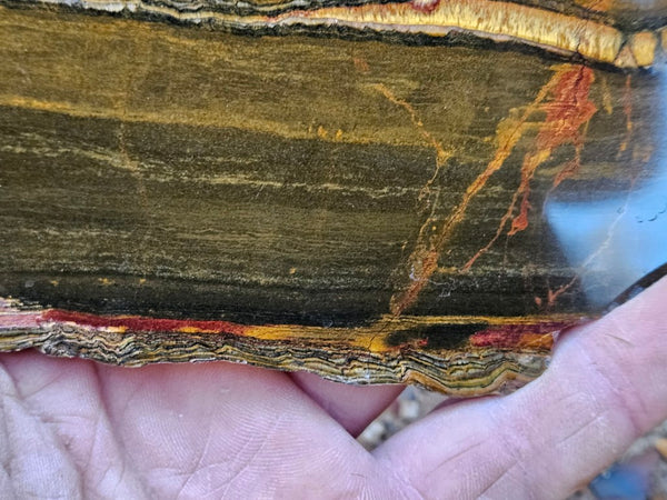 Polished Tiger Eye slab TE416