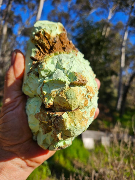 Polished Lime Magnesite specimen. MAP208