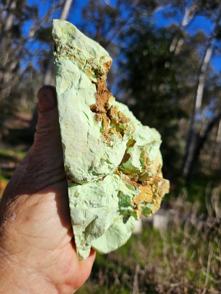 Polished Lime Magnesite specimen. MAP208